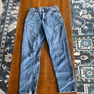 American Eagle Outfitters Mom Blue Jeans